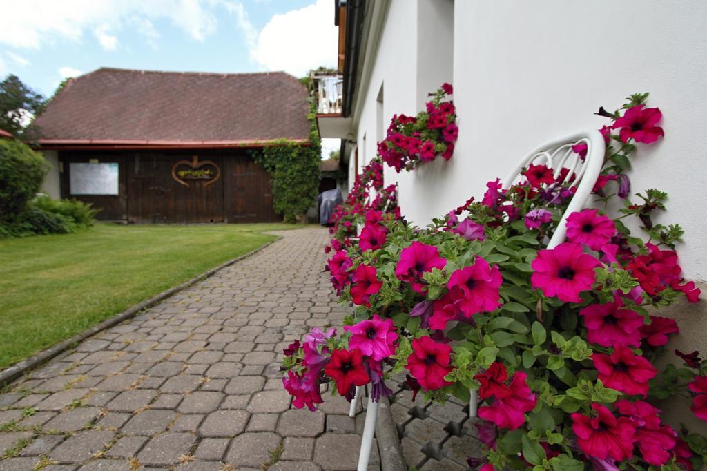 Pension Pod Morskym Okem Karlovice  Exteriör bild
