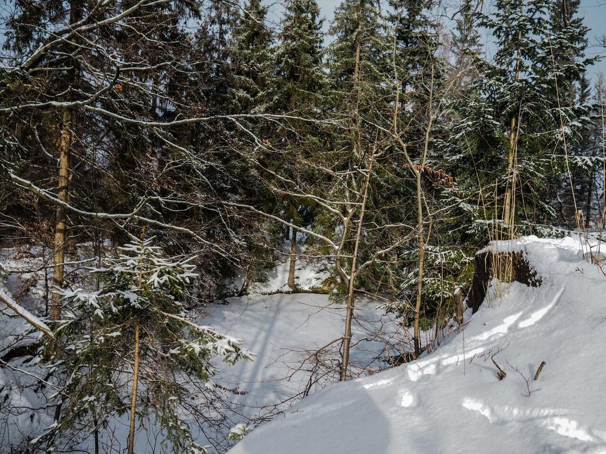 Pension Pod Morskym Okem Karlovice  Exteriör bild