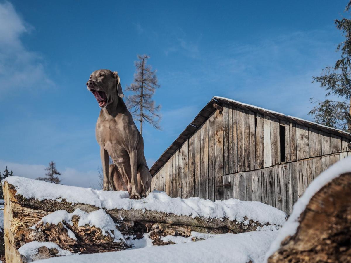 Pension Pod Morskym Okem Karlovice  Exteriör bild